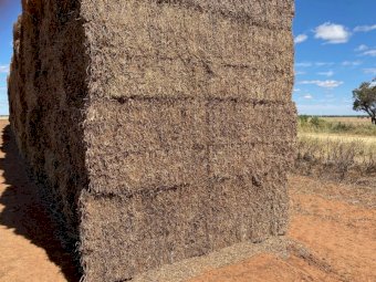 250mt Vetch Hay 8x4x3 Bales (New Season 22/23)
