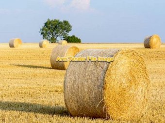 Wheaten Hay Rolls 5x4 ( New Season 22/23)