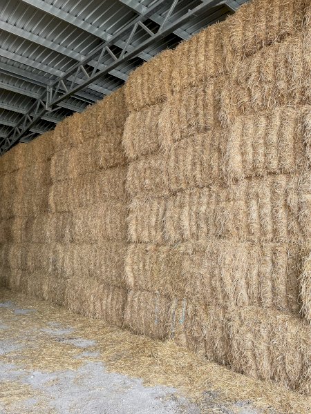 60-80mt Barley Straw 300-400kg 8x4x3 Bales (21/22 Season)