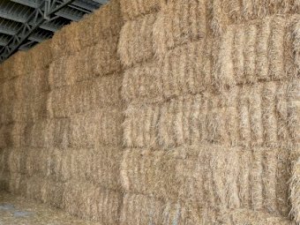 60-80mt Barley Straw 300-400kg 8x4x3 Bales (21/22 Season)