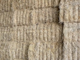 60-80mt Barley Straw 300-400kg 8x4x3 Bales (21/22 Season)