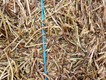 500mt Vetch Hay 720kg 8x4x3 Bales (New Season 22/23)