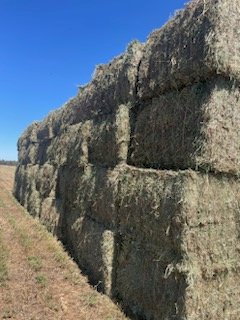 500mt Lucerne Hay 550kg 8x4x3 Bales (New Season 22/23)