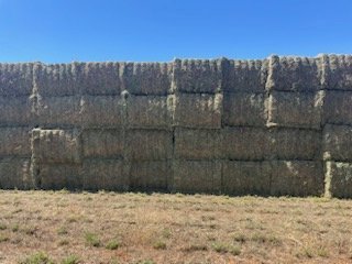 500mt Lucerne Hay 550kg 8x4x3 Bales (New Season 22/23)