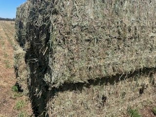 500mt Lucerne Hay 550kg 8x4x3 Bales (New Season 22/23)