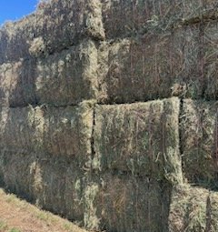 500mt Lucerne Hay 550kg 8x4x3 Bales (New Season 22/23)