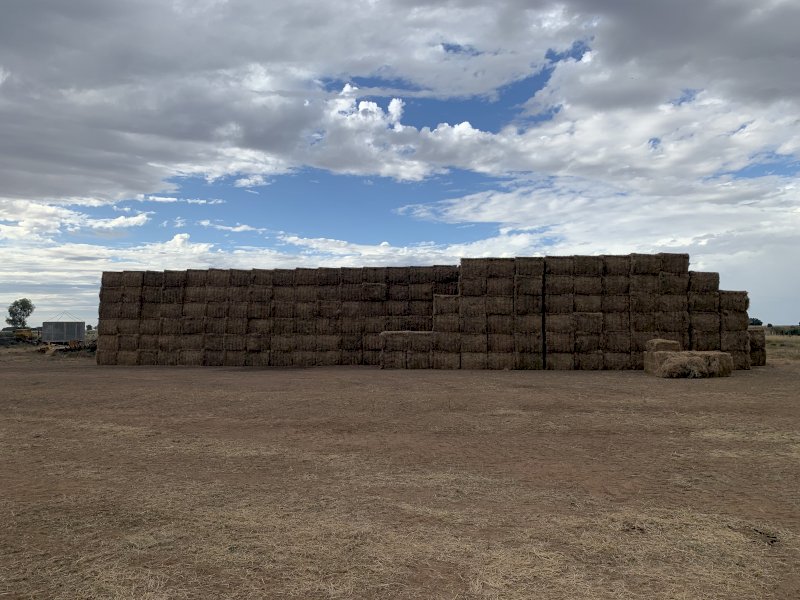 120mt Clover/Rye/Oaten Hay 625kg 8x4x3 Bales