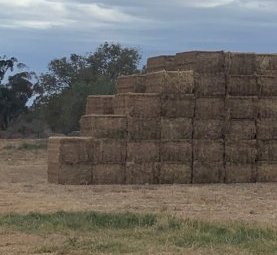 120mt Clover/Rye/Oaten Hay 625kg 8x4x3 Bales