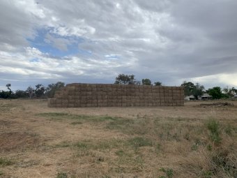 120mt Clover/Rye/Oaten Hay 625kg 8x4x3 Bales