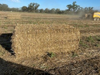 Oaten Vetch Hay for Compost or Mulch