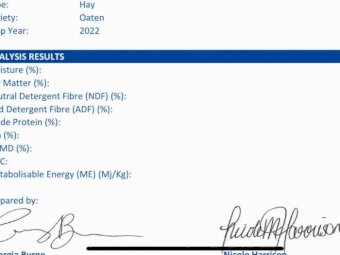 Oaten Hay 550kg 8x4x3 Bales off the Baler (New Season 22/23)