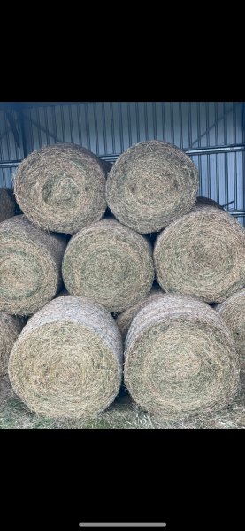 26 x Lucerne Hay 4x4 Round Bales (New Season 22/23)