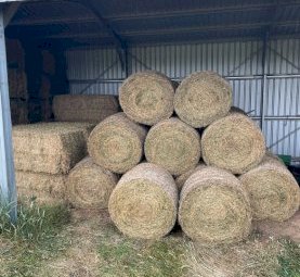 26 x Lucerne Hay 4x4 Round Bales (New Season 22/23)