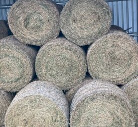 26 x Lucerne Hay 4x4 Round Bales (New Season 22/23)