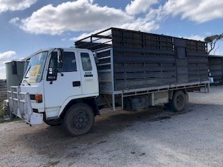 1994 Isuzu FSR 600 Stock Truck