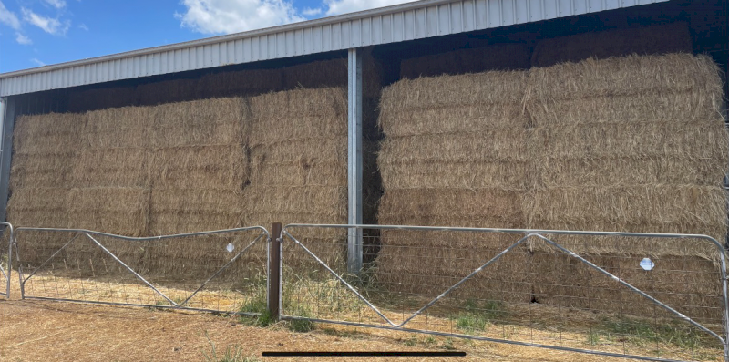 50mt Oaten / Rye & Clover Hay 580-600kg 8x4x3 Bales (New Season 22/23)