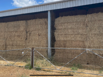 50mt Oaten / Rye & Clover Hay 580-600kg 8x4x3 Bales (New Season 22/23)