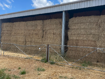 50mt Oaten / Rye & Clover Hay 580-600kg 8x4x3 Bales (New Season 22/23)