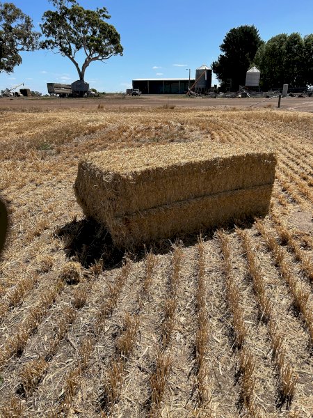 1000mt Barley Straw 500kg 8x4x3 Bales (New Season 22/23)