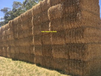 70mt Barley Straw 8x4x3 Bales