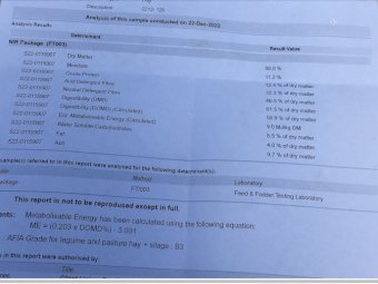 250 x Balansa Clover 5x4 Rolls (Milk Quality)