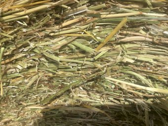 250 x Balansa Clover 5x4 Rolls (Milk Quality)