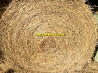 Large Round Bales of Pasture Hay cut January 12 2023