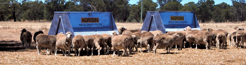 WANTED Sheep Lick Feeder