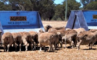 WANTED Sheep Lick Feeder