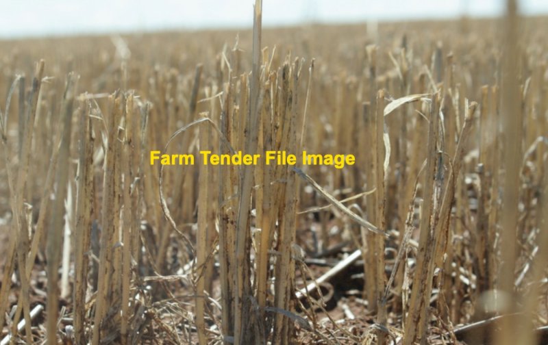 WANTED Standing Stubble (Young NSW Area)