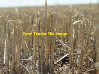 WANTED Standing Stubble (Young NSW Area)