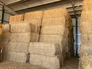 40mt Lucerne Hay 8x4x3 Bales (New Season 22/23)