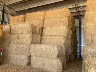 40mt Lucerne Hay 8x4x3 Bales (New Season 22/23)