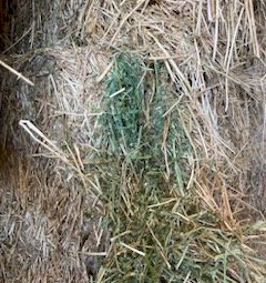 40mt Lucerne Hay 8x4x3 Bales (New Season 22/23)