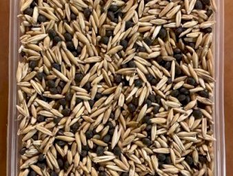 50mt Timok Vetch / Grazer Oat Hay Mix