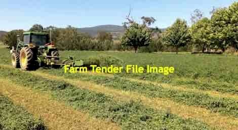 100mt Lucerne Hay 8x4x3 Bales
