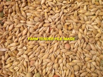 WANTED Organic Grain Mixes