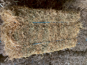 350 x Lucerne Small Bales