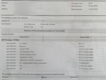 200mt Balansa Hay 500 kg 8x4x3 Bales