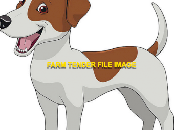 WANTED 2022 Jack Russell or Fox Terrier Cross