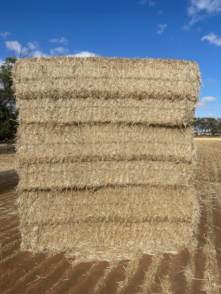500mt Wheaten Straw 500kg 8x4x3 Bales (New Season 22/23)