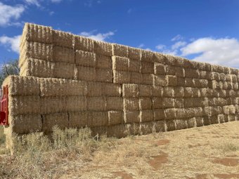 500mt Wheaten Straw 500kg 8x4x3 Bales (New Season 22/23)