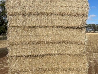 500mt Wheaten Straw 500kg 8x4x3 Bales (New Season 22/23)