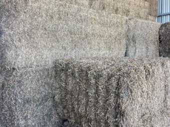 250mt Vetch Hay 600-650kg 8x4x3 Bales (New Season 22/23)