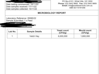 250mt Vetch Hay 600-650kg 8x4x3 Bales (New Season 22/23)