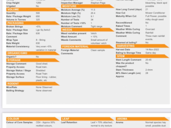 300mt Oaten Hay 600-650kg 8x4x3 Bales (New Season 22/23)