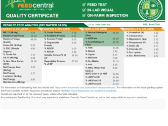 300mt Oaten Hay 600-650kg 8x4x3 Bales (New Season 22/23)