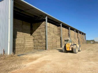 300mt Oaten Hay 600-650kg 8x4x3 Bales (New Season 22/23)