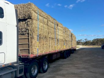 300mt Oaten Hay 600-650kg 8x4x3 Bales (New Season 22/23)