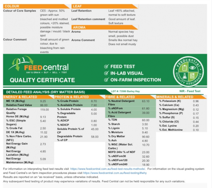 300mt Barley Hay 600-650kg 8x4x3 Bales (New Season 22/23)